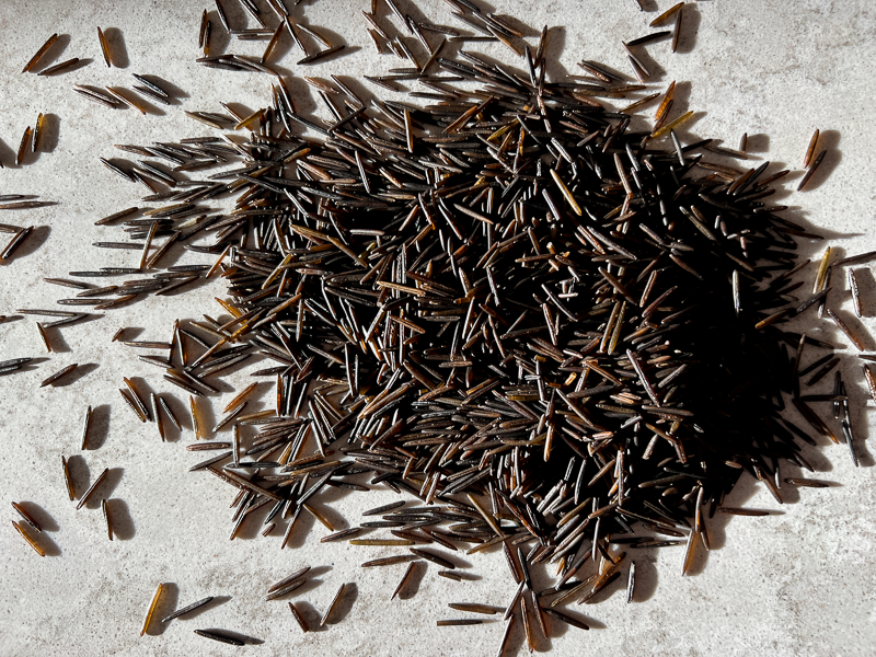 What is Wild Rice?
