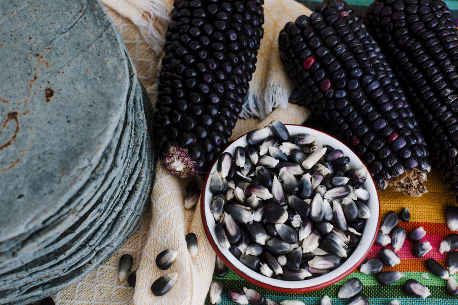 Role of Blue Corn in Native American History