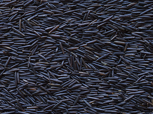 Red Lake Nation Cultivated Wild Rice | Indigenous Native Food – Tocabe ...
